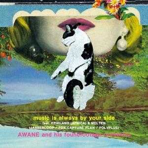 AWANE and his foundfootage orchestra   - music is always by your side / something about us (the LEWD HERTZ live dub) (7&quot;)